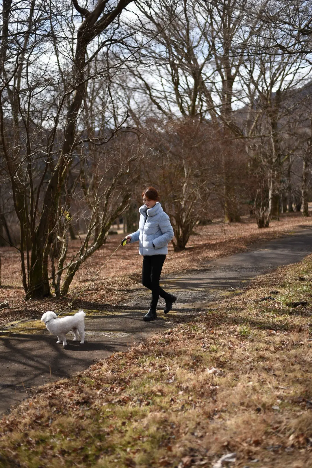 箱根神社へ新年のご挨拶⛩️の画像_14