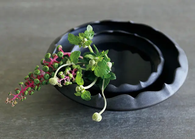 曲線美がエレガントな 芸術性の高い器に心奪われる