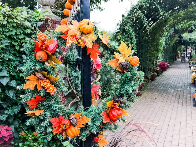 【さかぽんの冒険】ハロウィンの横浜イングの画像_7