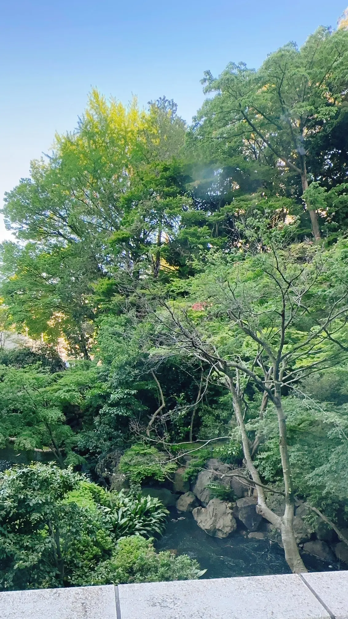 シェラトン都ホテル東京の中庭