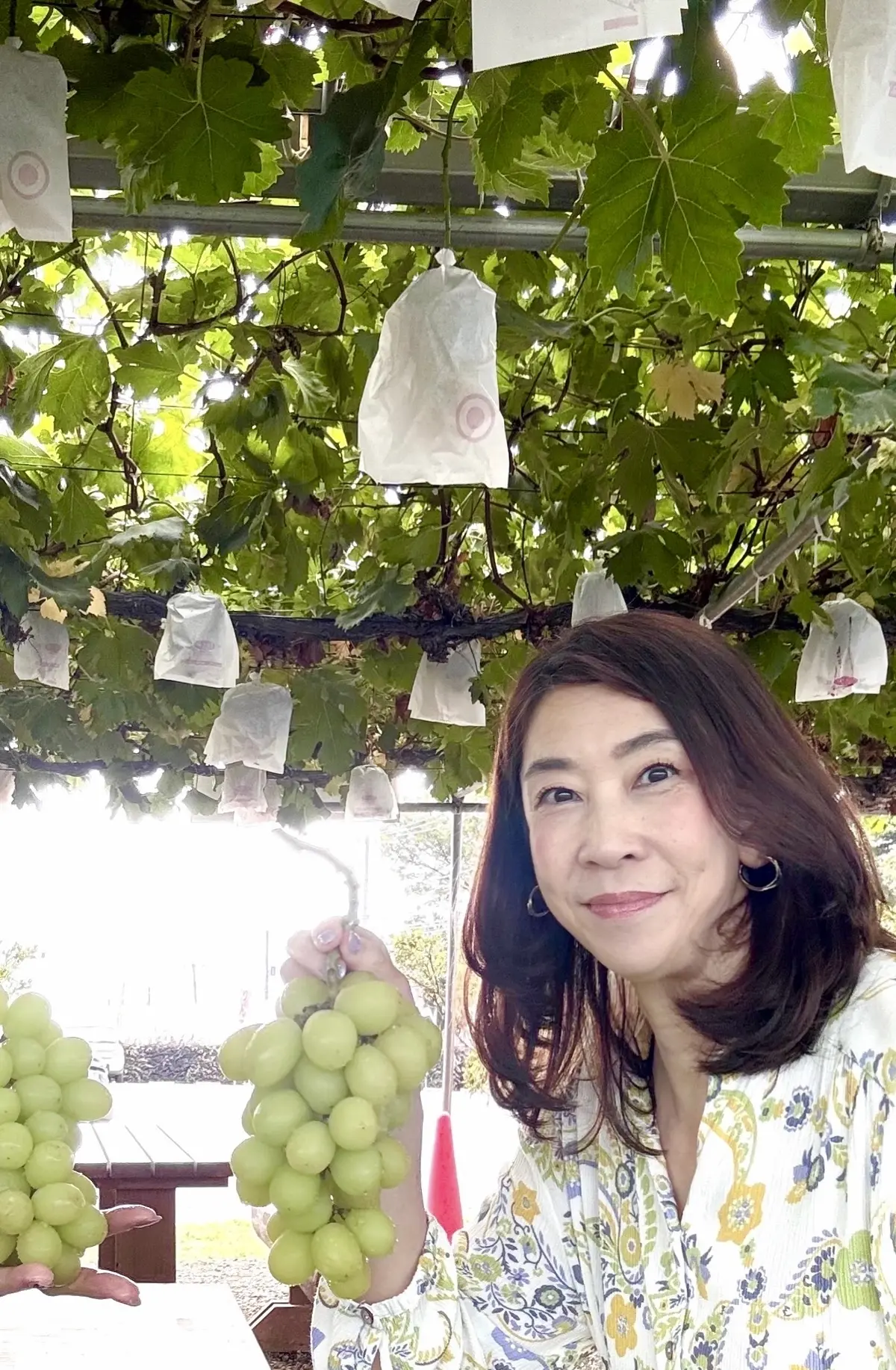 シャインマスカット食べ放題