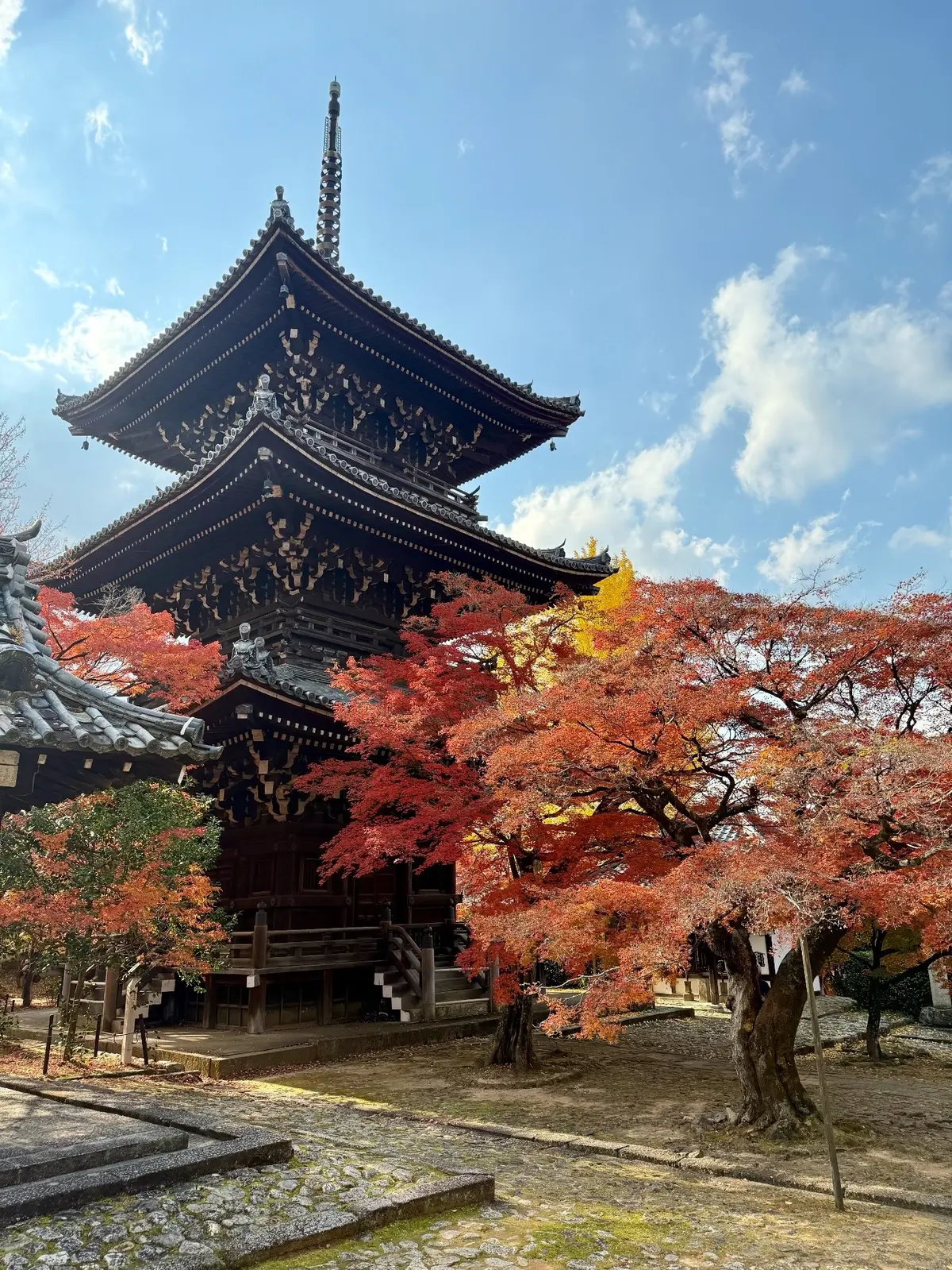 【大人の京都】寺院仏閣とお気に入りの秋のの画像_50