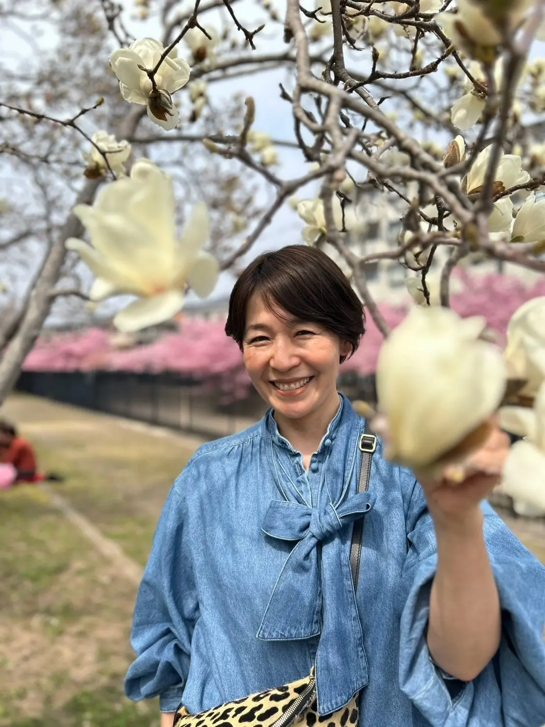 淀水路の河津桜――14年来の友と歩く、春の画像_7