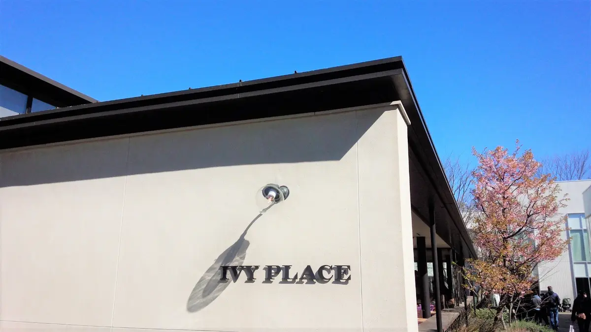 フレッシュ ストロベリークリーム パンケの画像_1