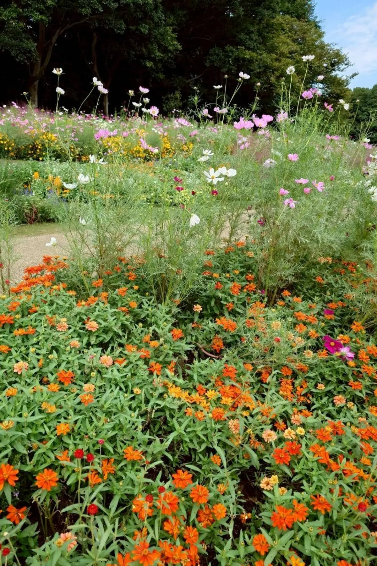 里山ガーデンフェスタ