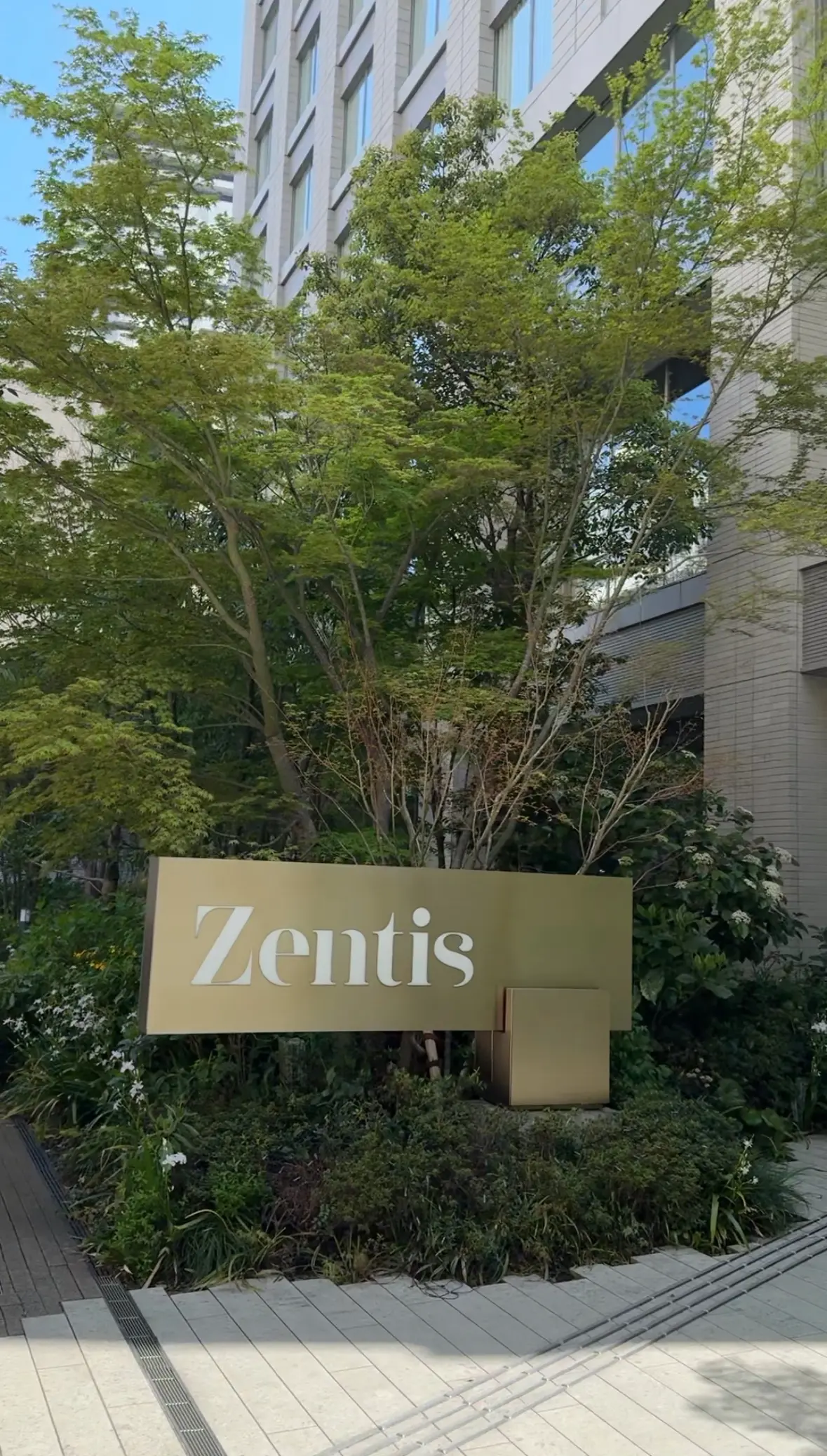 新しい出会い🩷華組さん＆Ｊマダムランチaの画像_2