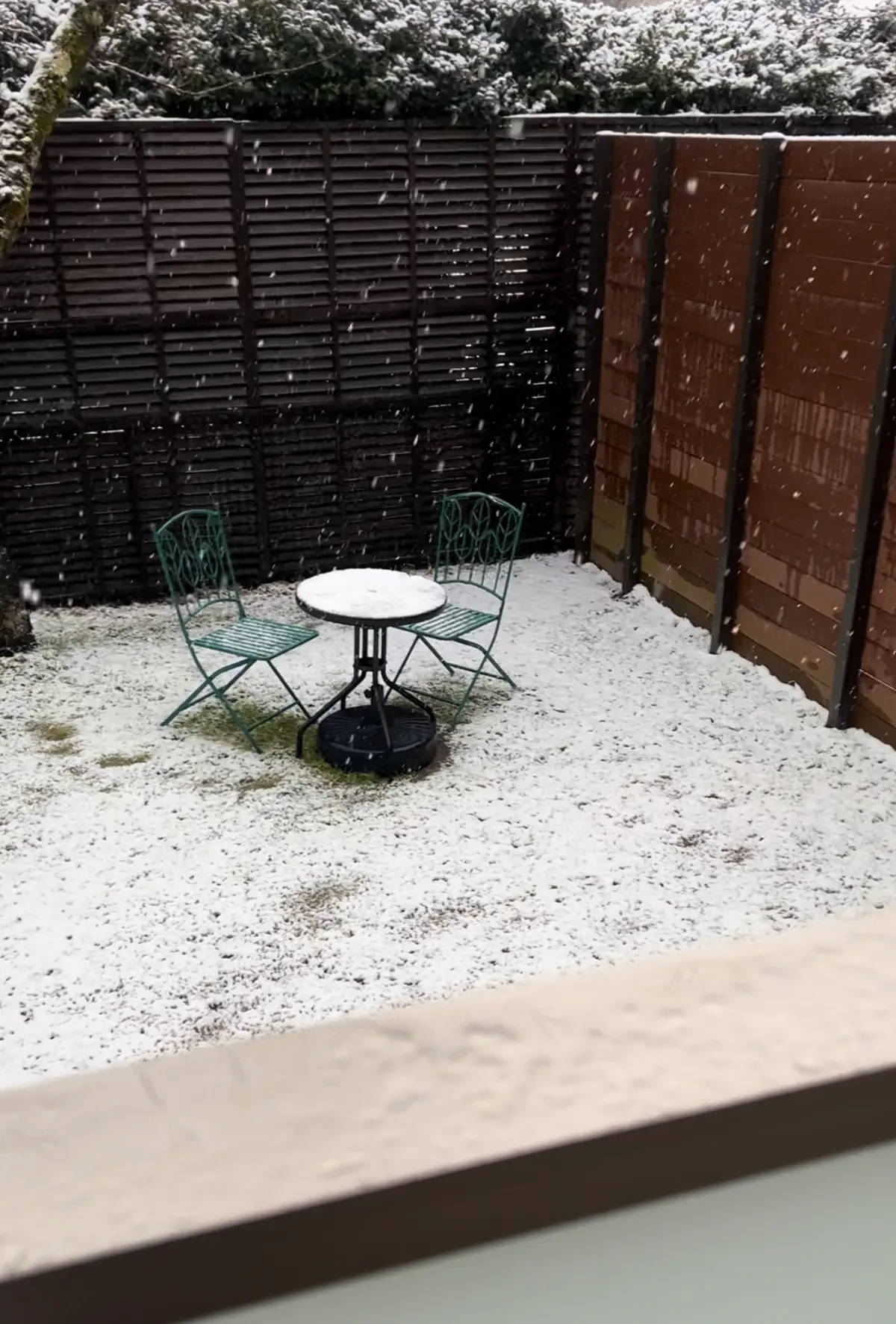 次の日はなんと雪が！