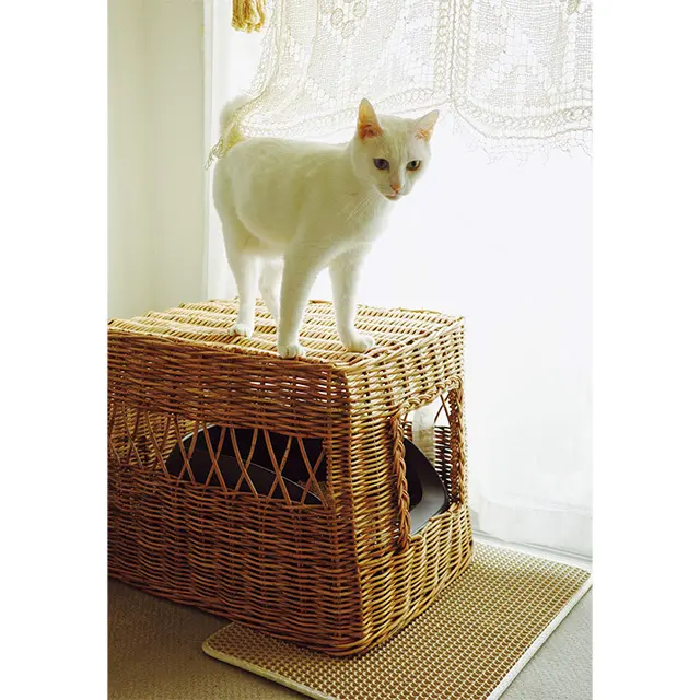 試行錯誤した結果、トイレは明る い光の入るリビングの窓ぎわがお気 に入り。