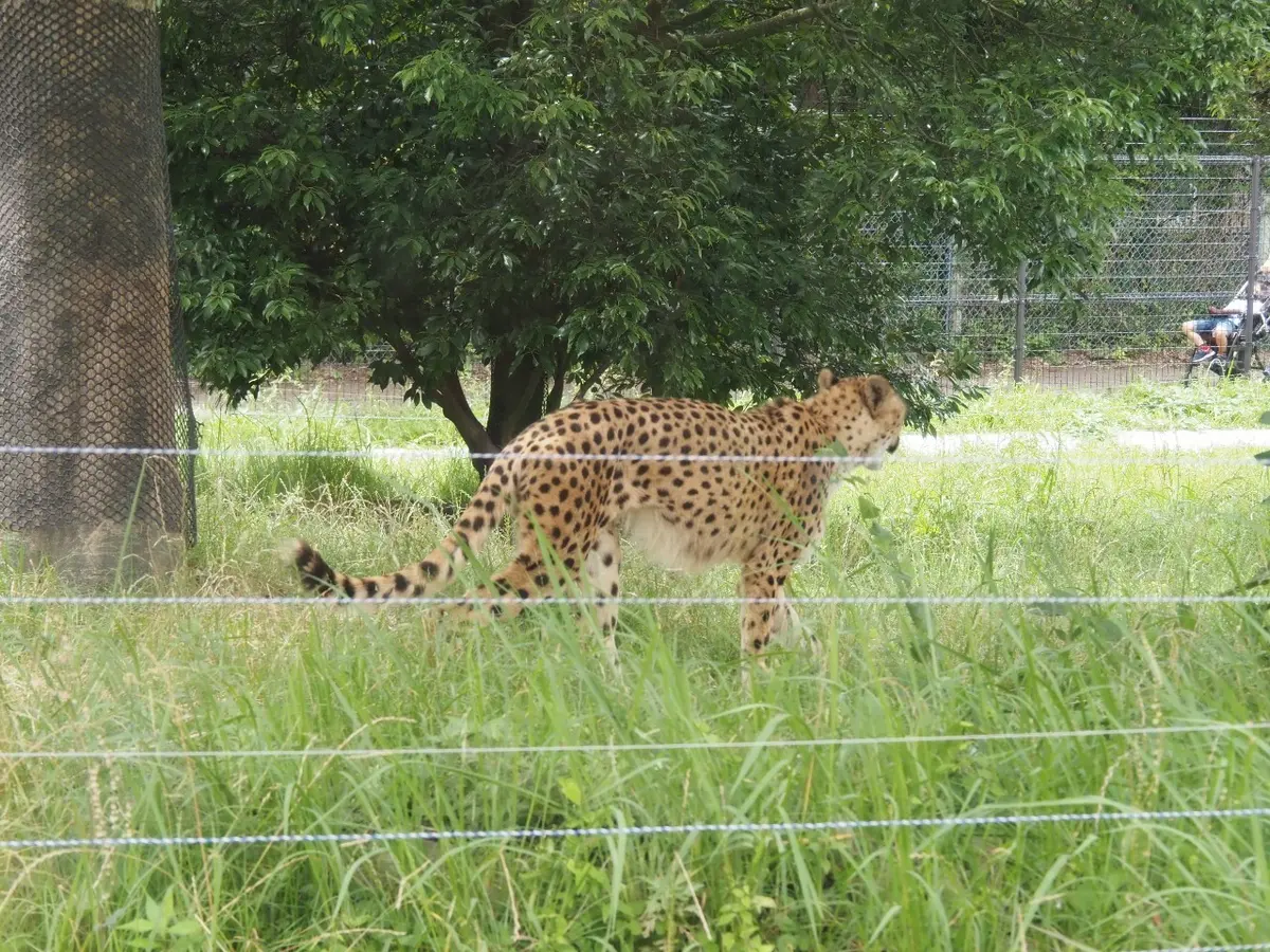 初めての和歌山県!!紀南方面へ2人旅♡～の画像_12