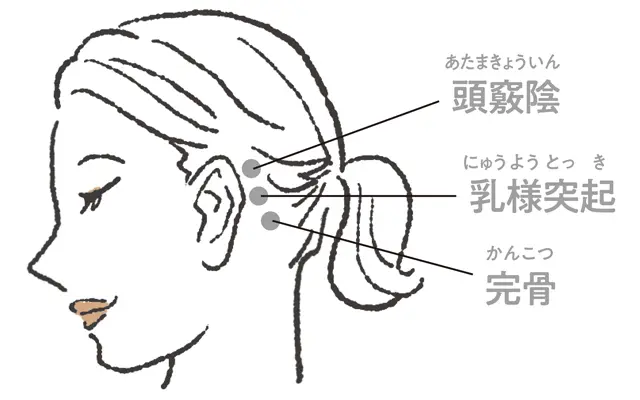 耳の後ろの3つのツボ押し