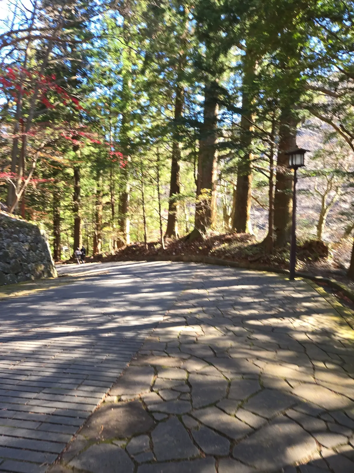 晩秋の日光・宇都宮旅 前編 世界遺産めぐの画像_18
