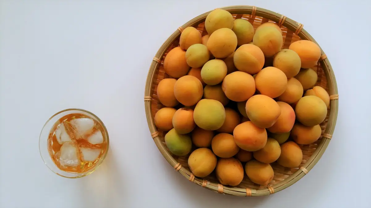 初夏のおしごと　その②の画像_1