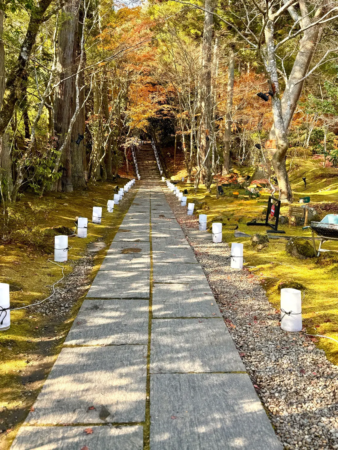 宮城県松島　円通院　伊達光宗　境内　紅葉　瞑想の庭
