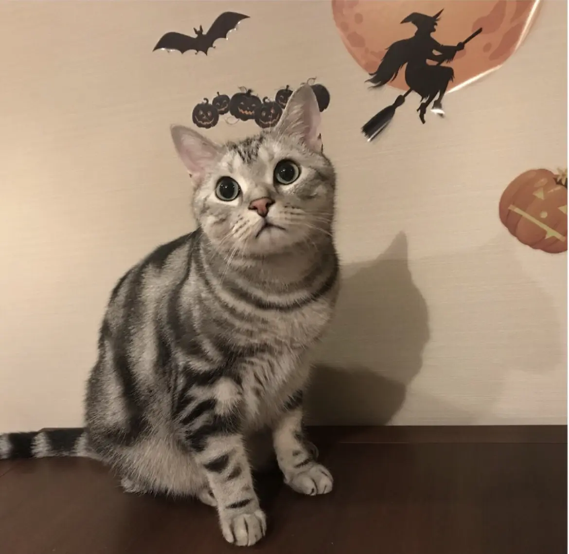 シールでハロウィン