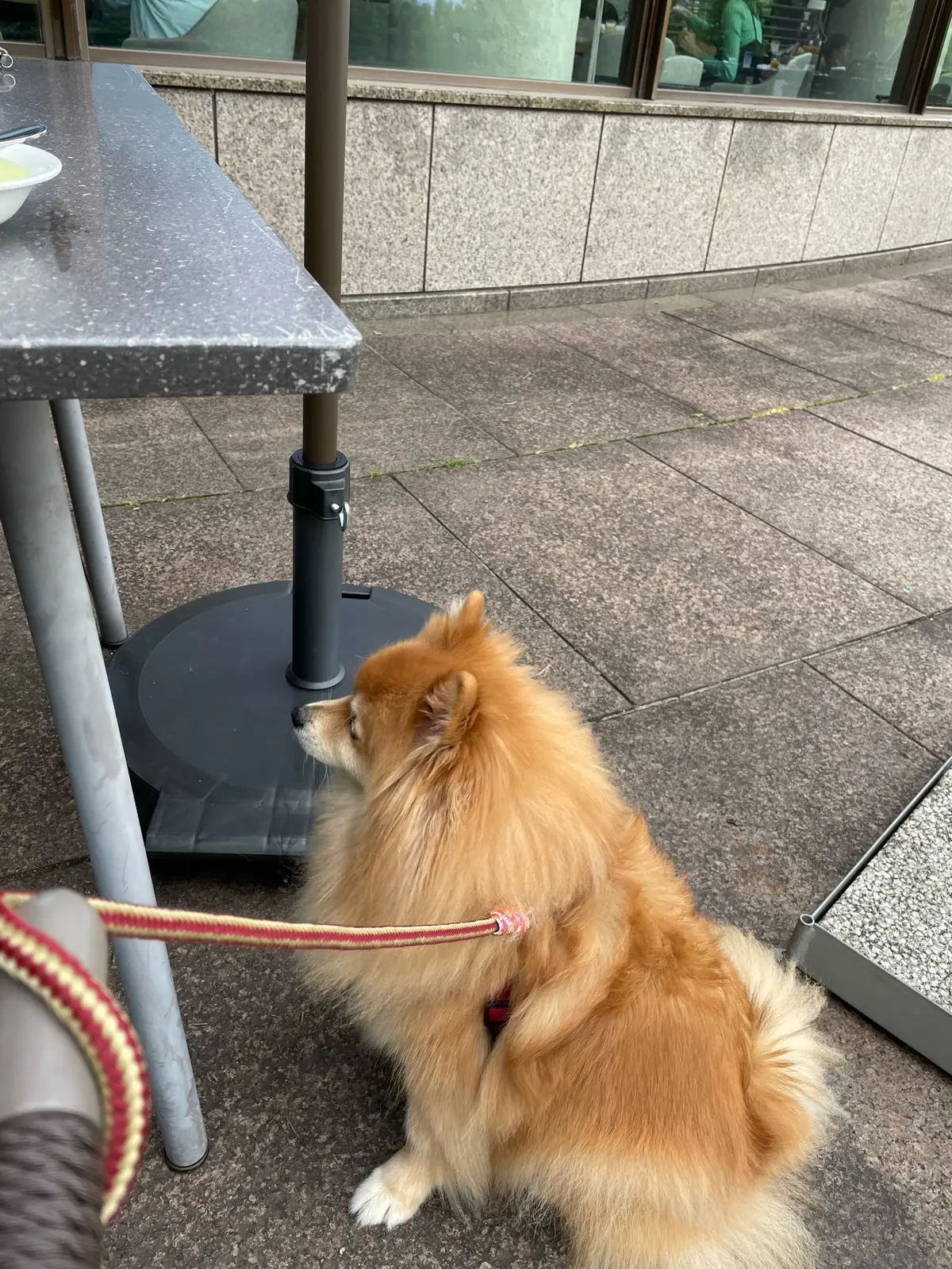 都心から一時間のお手軽リゾートホテルの画像_1