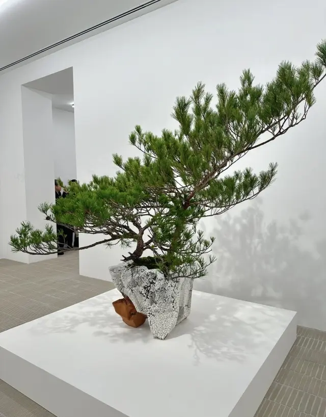 芸術の秋、アート作品にふれて。の画像_12