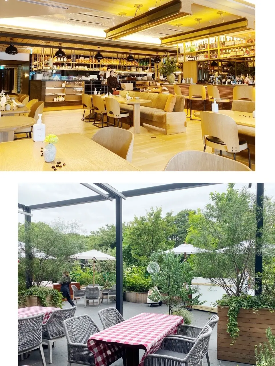 バックシャンワンピースの画像_4