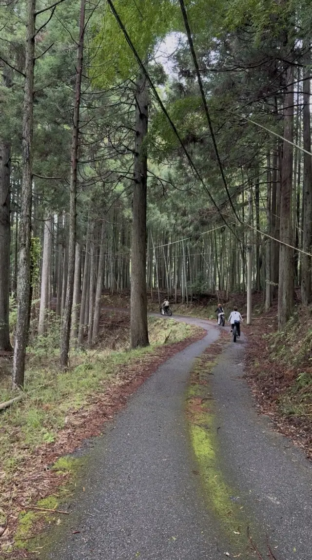 旅行3日目、THE LAKOTANのアクの画像_2