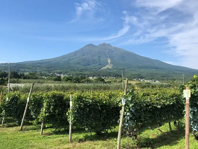 “津軽＆会津”のワインは東北らしさが素敵の画像_2