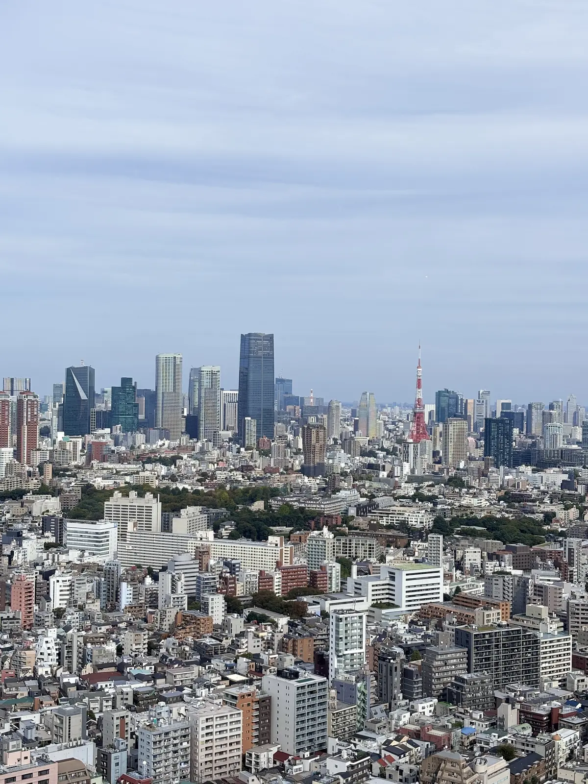 冬色コーデでタイ料理ランチの画像_3