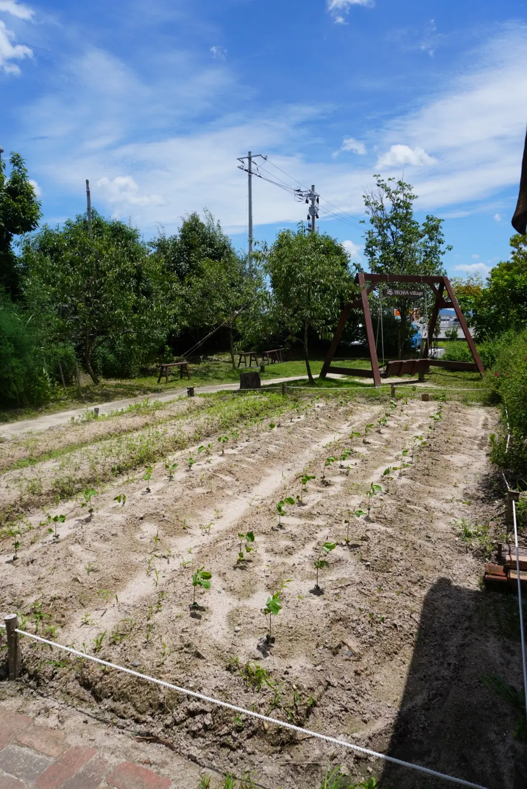 心身共に優しい癒しのスポットで爽やか夏デの画像_25
