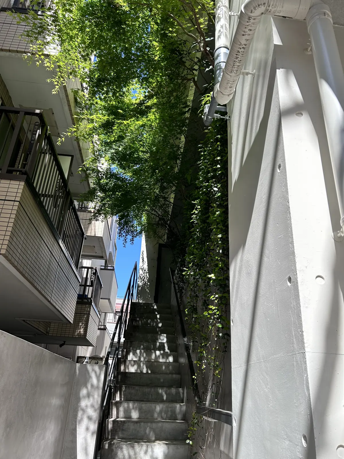 ASAKO IWAYANAGI SALON DE THÉ