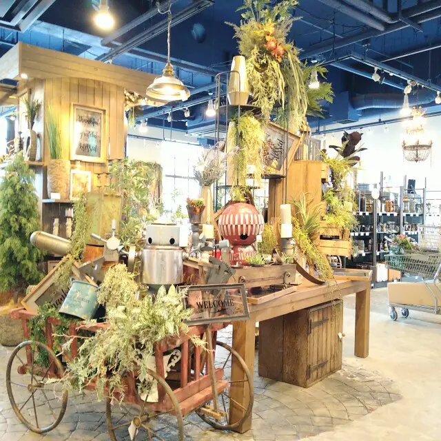 おしゃれな癒やし空間で花材の買い物の画像_5