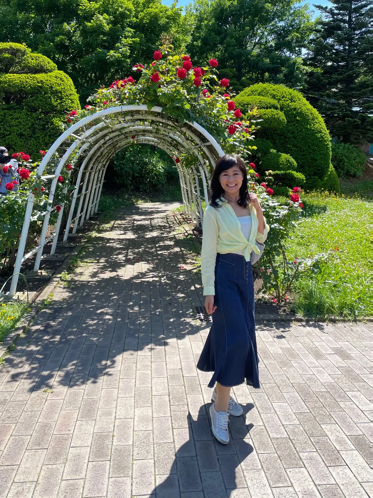 イギリス領事館、函館、北海道、庭園、バラ、薔薇、バラの庭園、満開、バラのアーチ、薔薇のアーチ、バラのトンネル、薔薇のトンネル