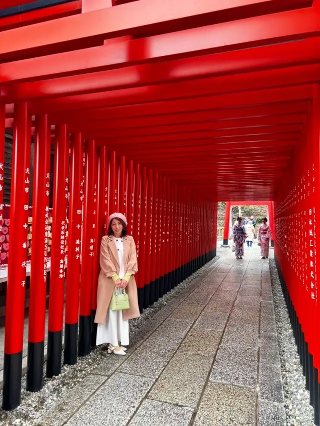 犬山城下町散策の画像_16