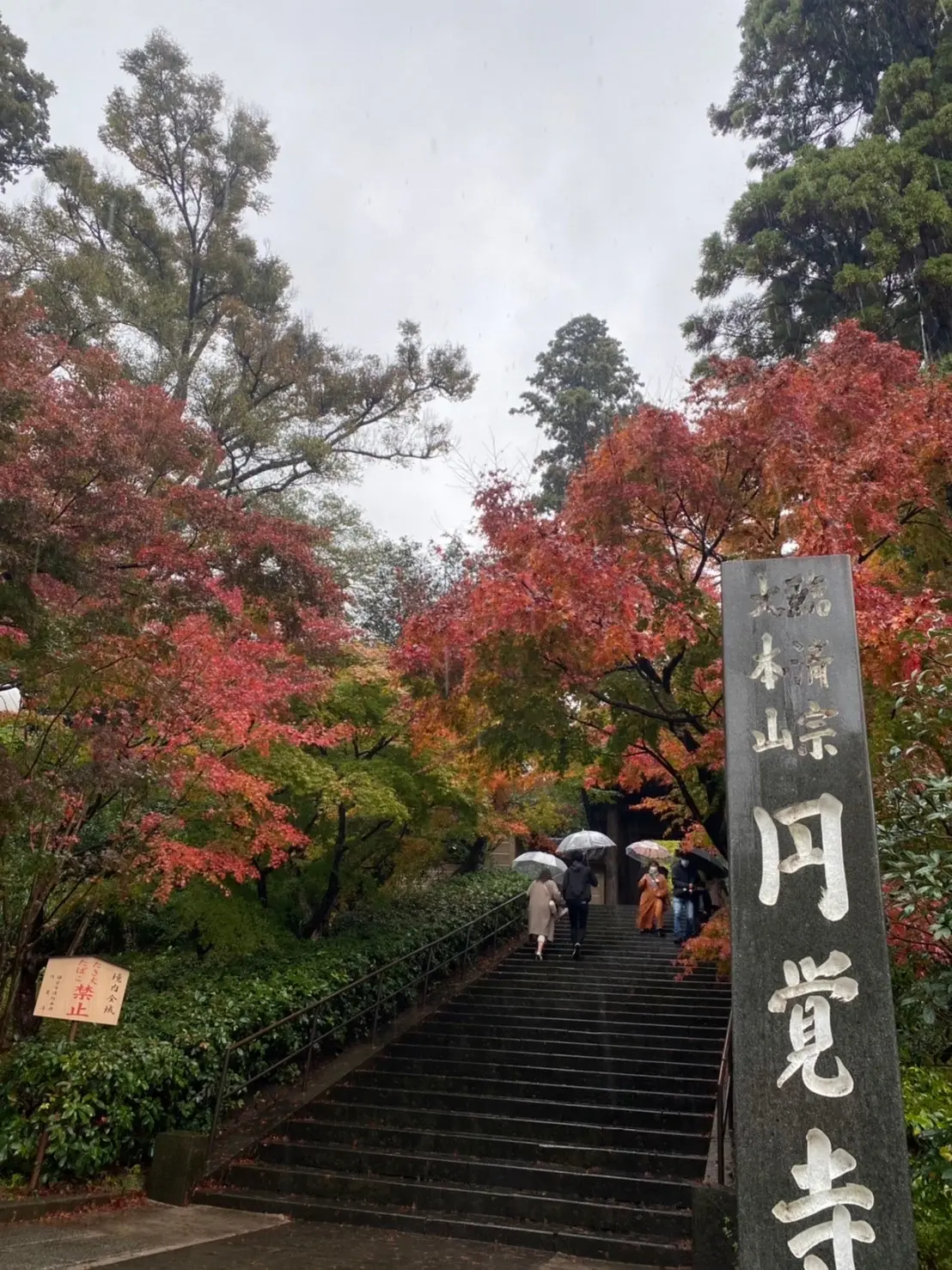 関西Jマダム「ようこそ関東へ」の画像_1