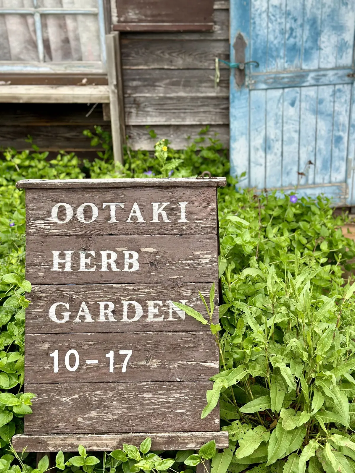 ハーブガーデンで過ごす癒しの時間♡千葉にの画像_26