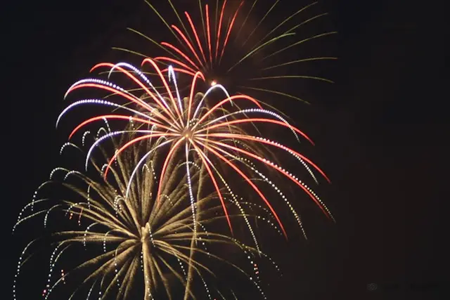 お祭りハンターさかぽん【隅田川花火♡恵比の画像_3