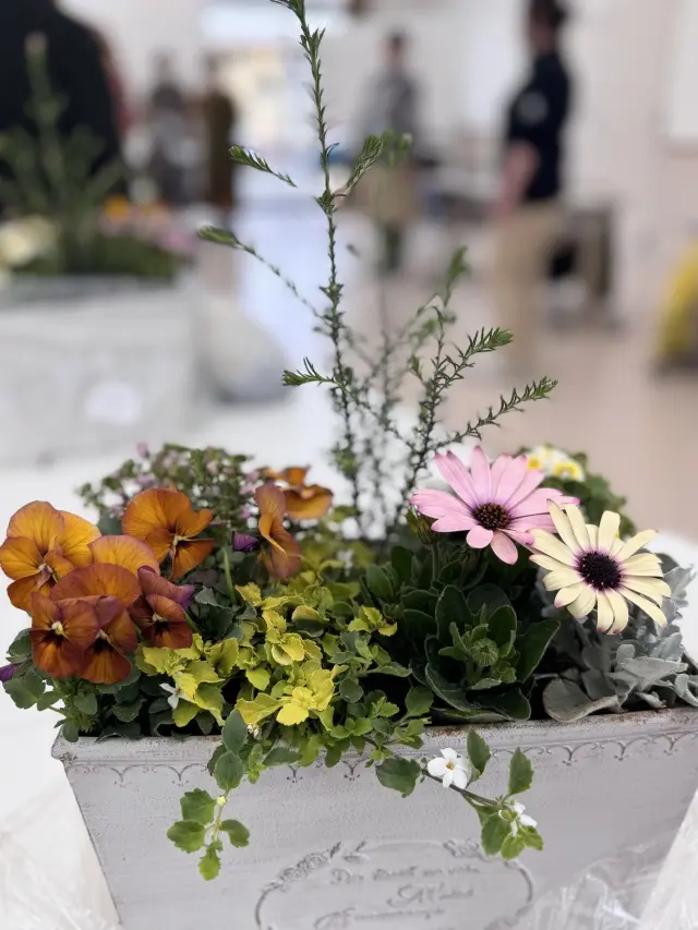 春のお花を手軽に楽しむコンテナガーデン作の画像_6