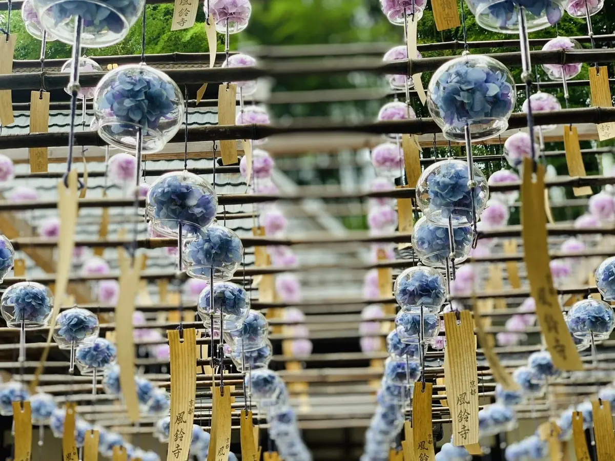 夏の思い出♡の画像_5