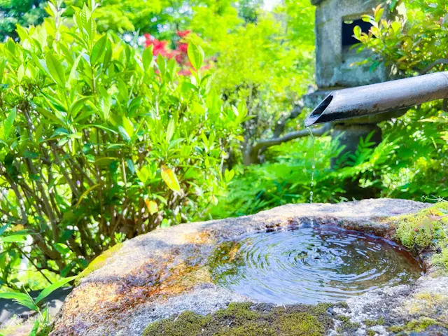 一礼に全てを表す【根津美術館】@表参道の画像_12