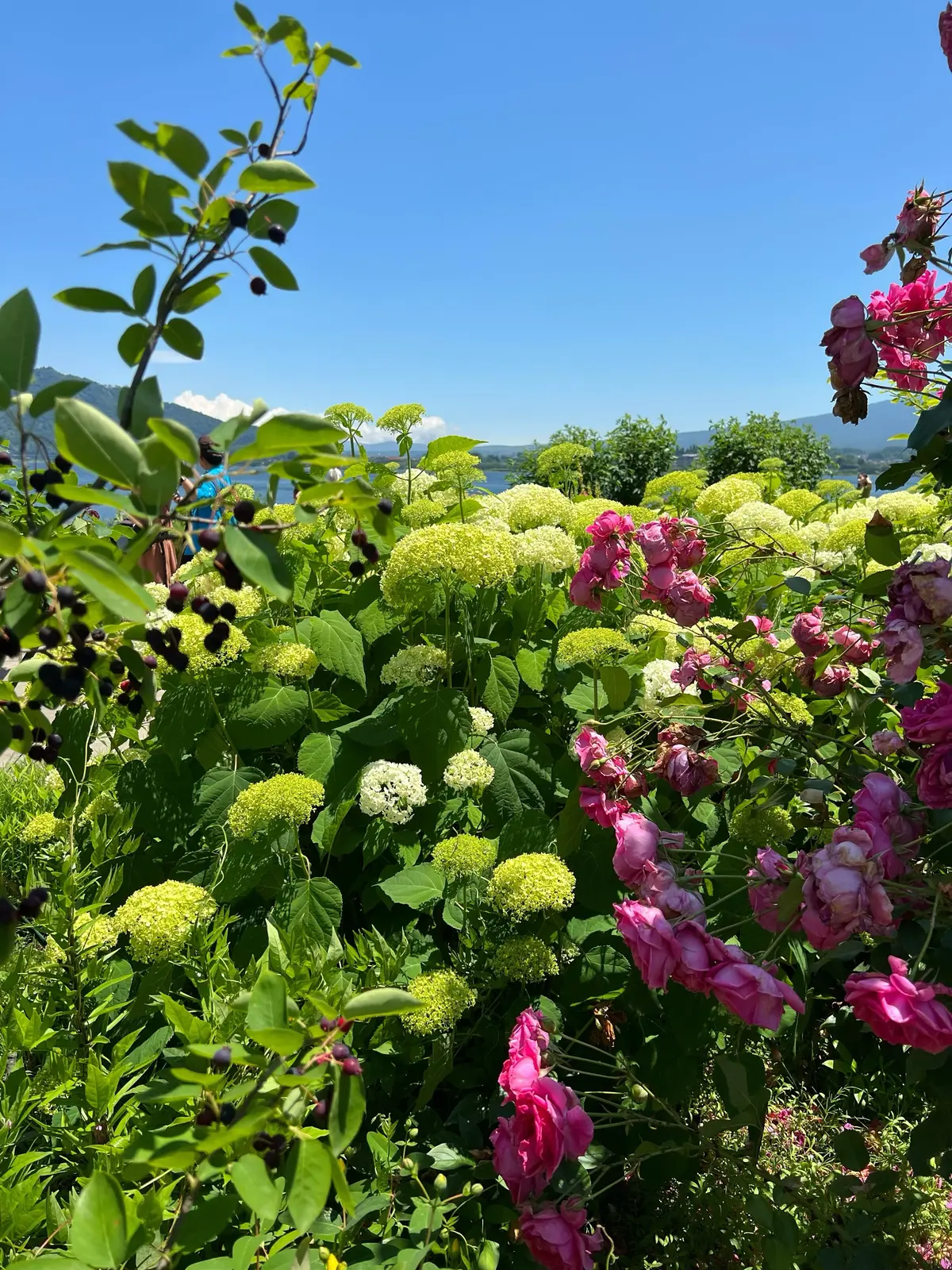 週末旅行観光スポット①の画像_9