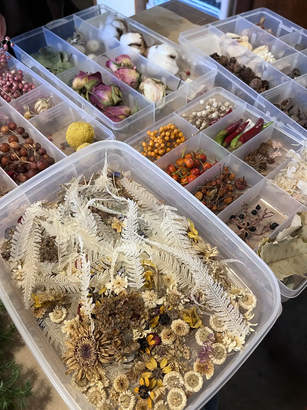 今年は早めのクリスマスリース作りの画像_8