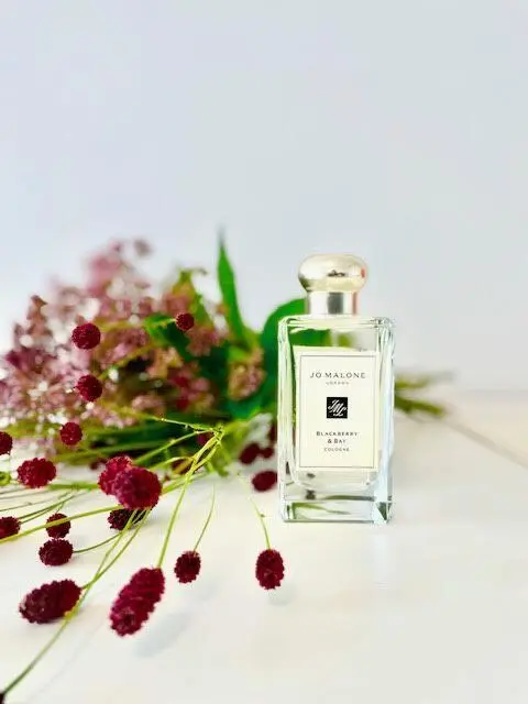 ジョーマローン  「ブラックベリー ＆ ベイ　コロン