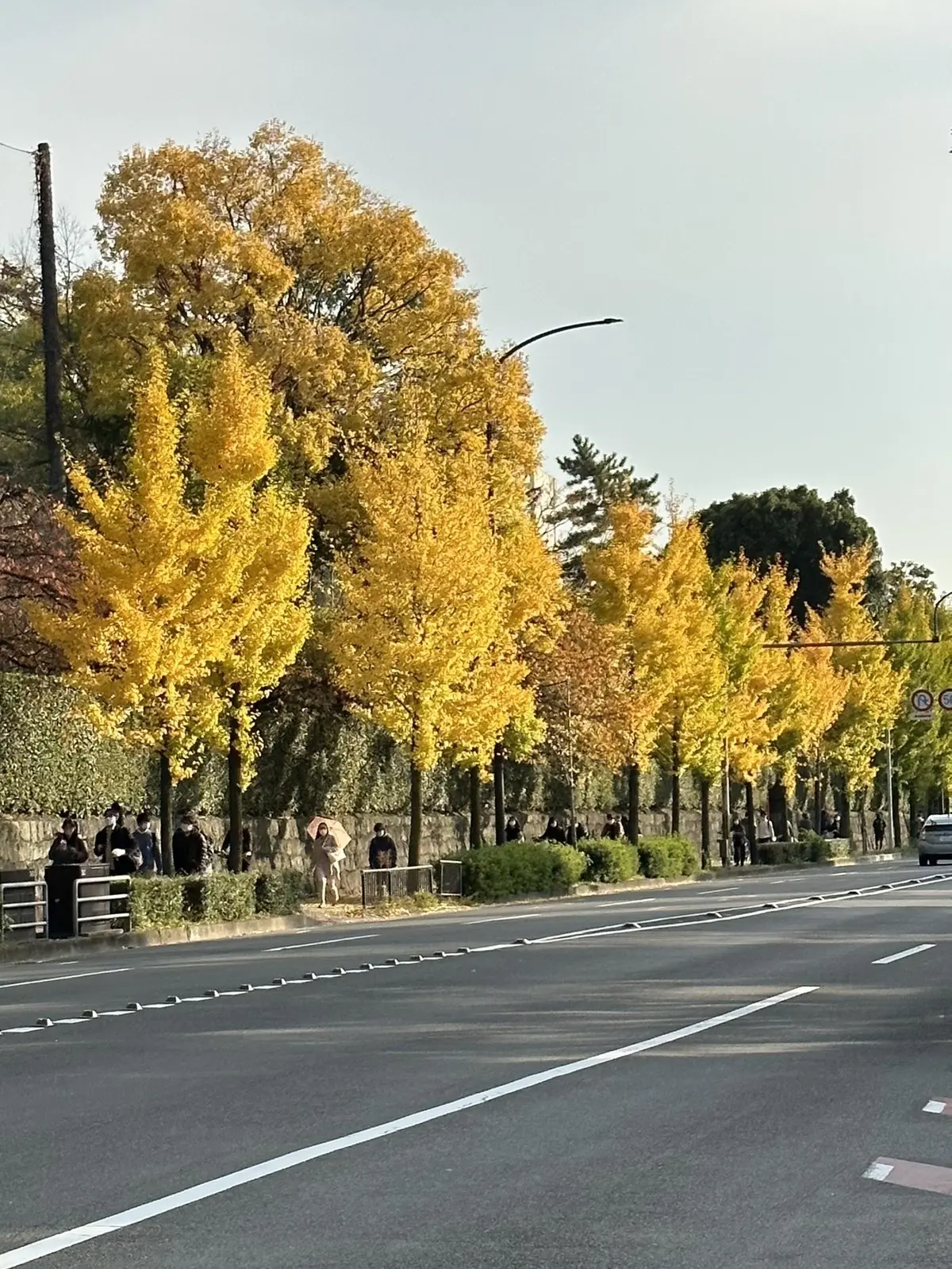 「紅葉とアートを堪能♡京都③」の画像_22