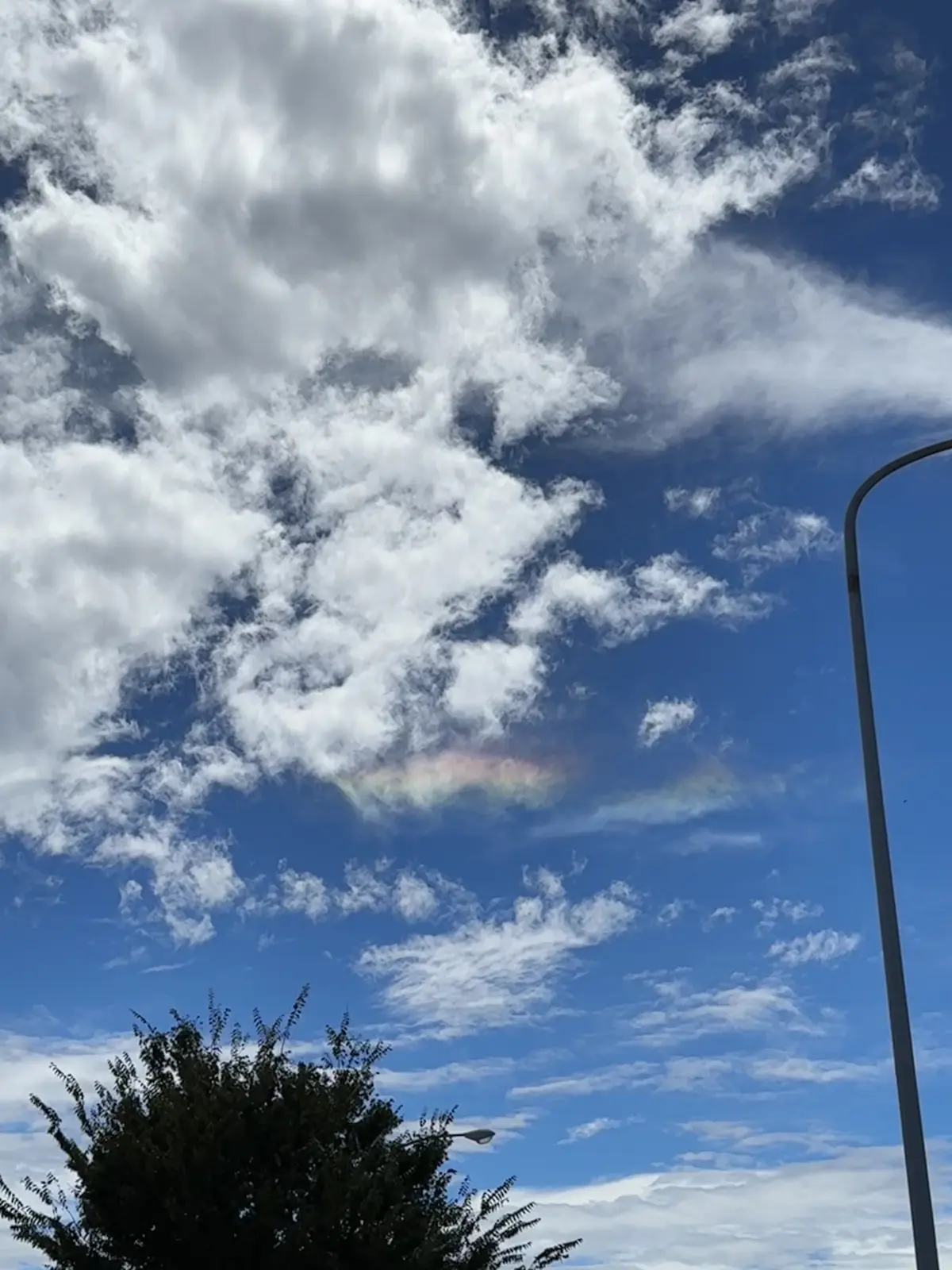 旦那さんの両親が住んでいる徳島の美味しいの画像_3