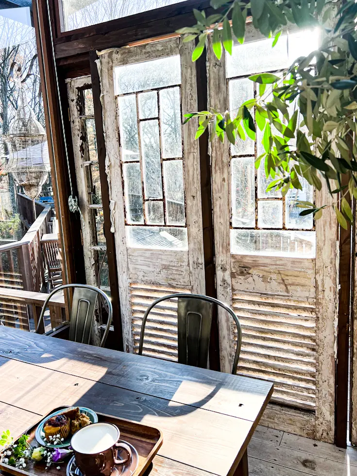 【さかぽんの冒険】ヴィーガンcafeへ☆の画像_7