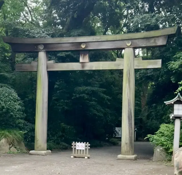 東京・原宿 明治神宮。参宮橋口の鳥居からおじゃましました。
