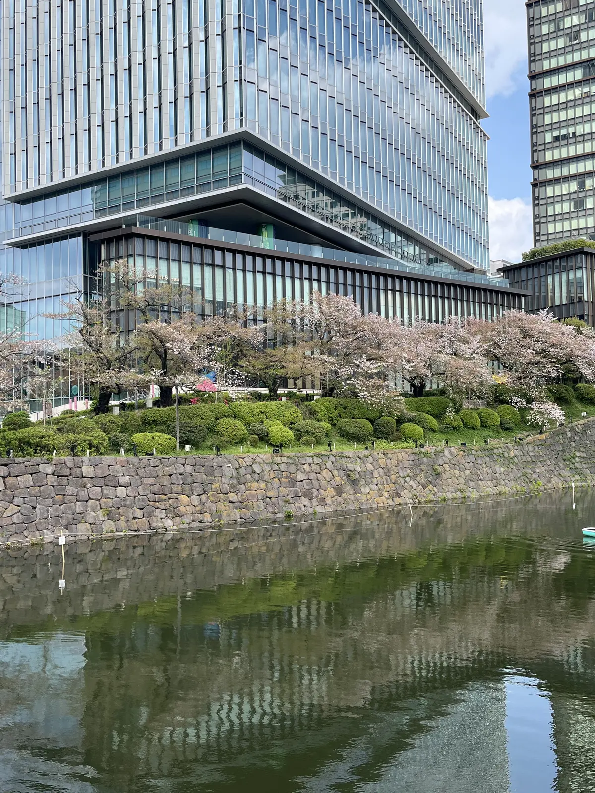 今年のことは今年のうちにの画像_1