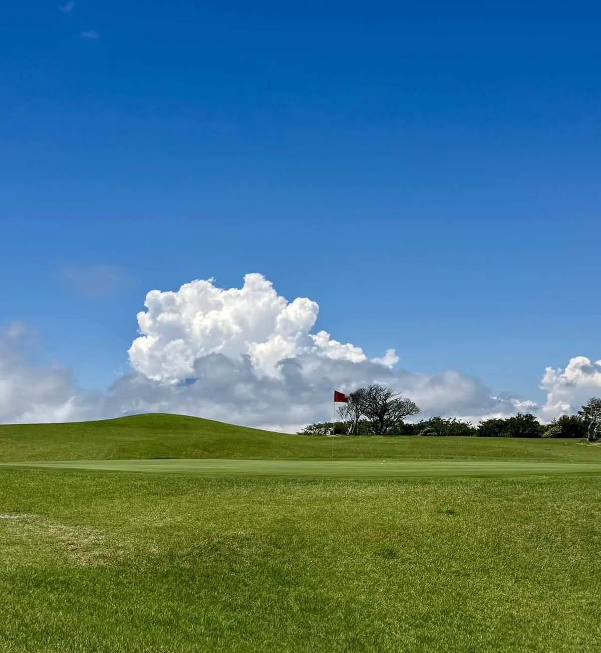 七里ヶ浜のPacific Golfの景色