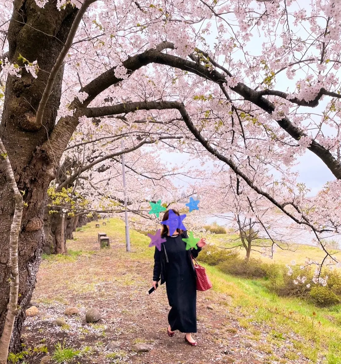 秋田と言えば・・・比内地鶏🐓の画像_8