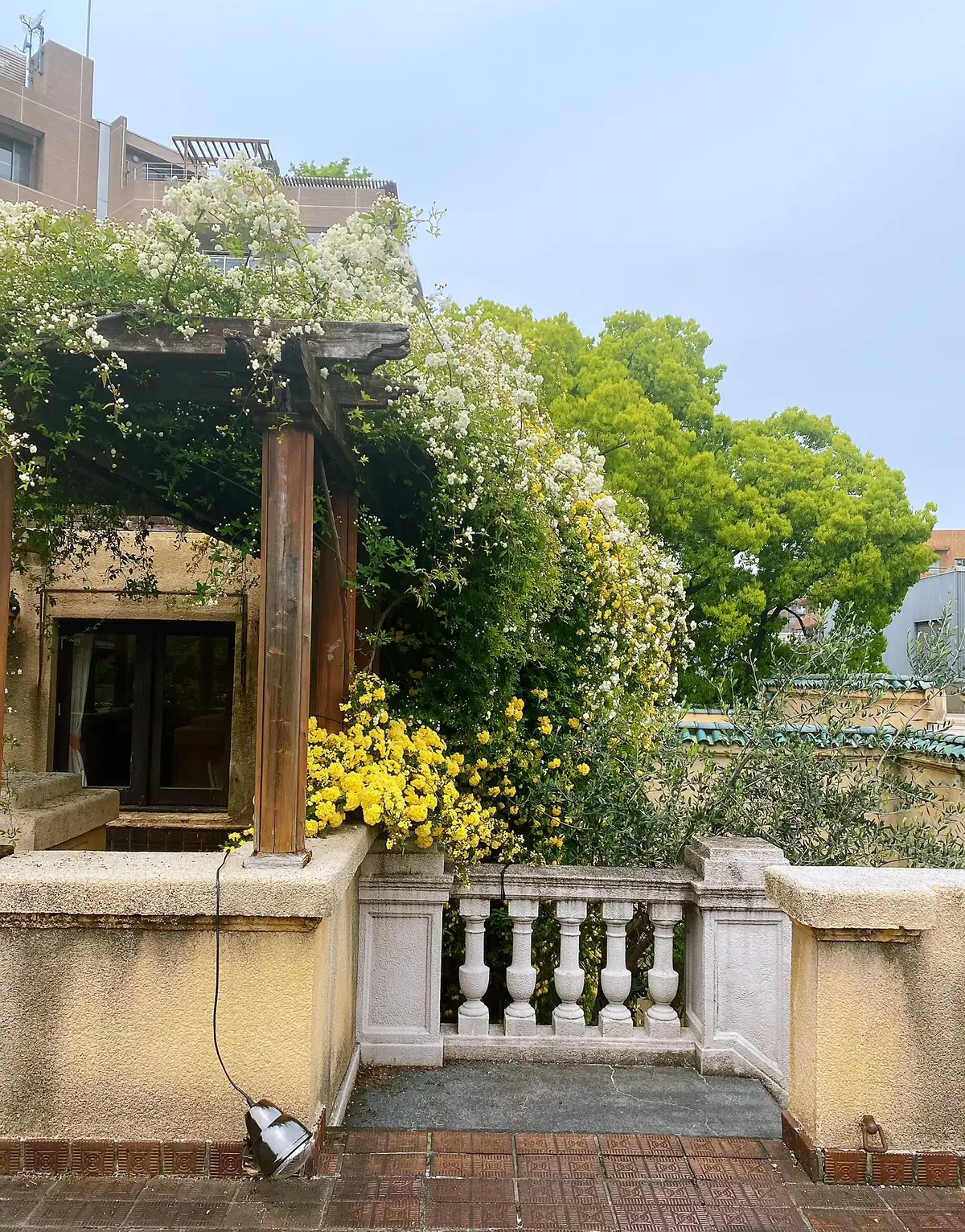 日常を忘れる小笠原伯爵亭でのランチの画像_8