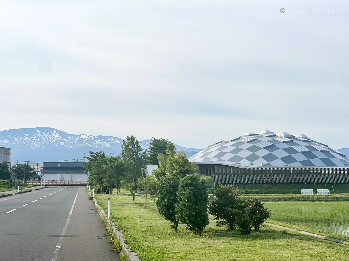 【さかぽんの冒険】ジェット✈️ジェット🛩の画像_4