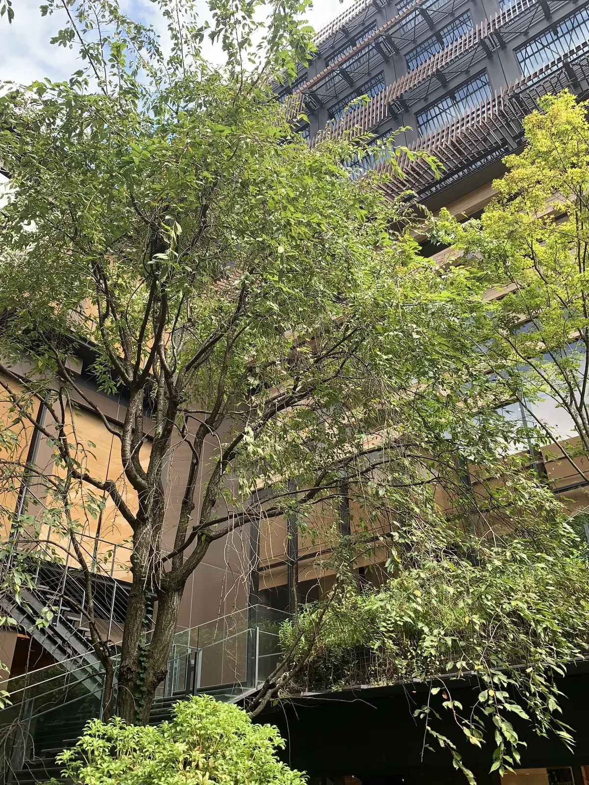 新風館　エースホテル京都　隈研吾