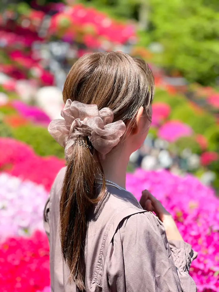 【さかぽんの冒険】下町ぶらり旅@根津神社の画像_2