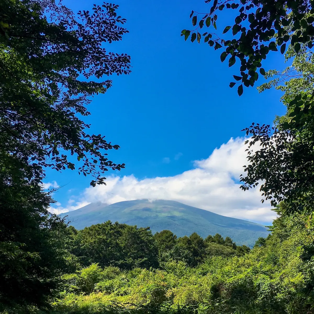 初秋の軽井沢への画像_3
